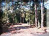 Le Center parc de Sologne